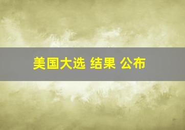 美国大选 结果 公布